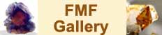 FMF Gallery