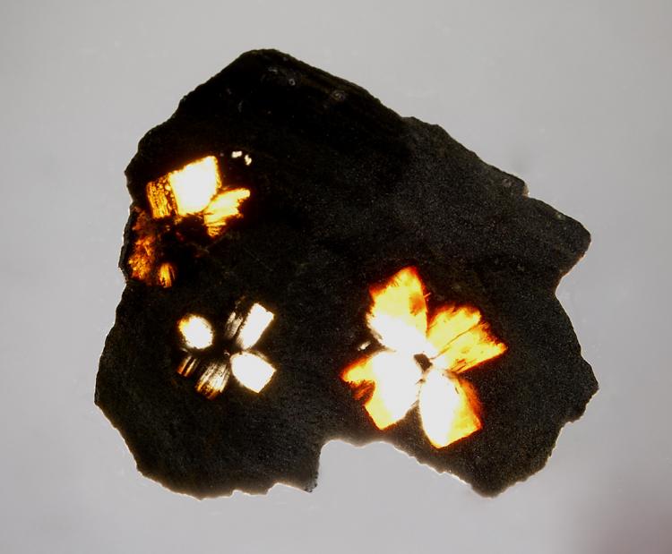 0138 Andalusite var. chiastolite.jpg