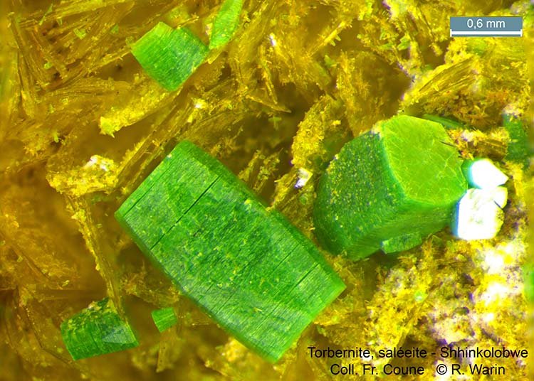 014-Torbernite#1-1_R.jpg