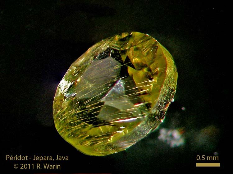 017-Peridot_Jepara_1b_R.jpg