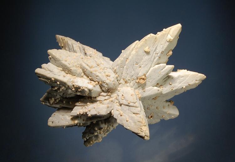 0186 Whewellite ps. gypsum.jpg