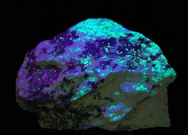 0333 Uraninite (FL).JPG