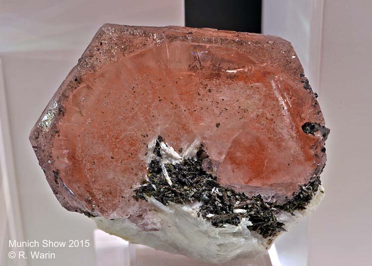 044-Morganite_10330_R.jpg