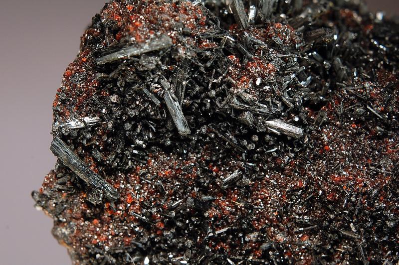 0950 Gaudefroyite closeup.jpg