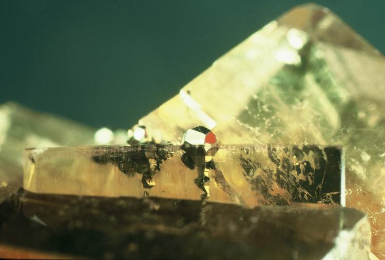 100OHfluorite-Delphos'92+pyrite-simultaneous growth.jpg.jpg