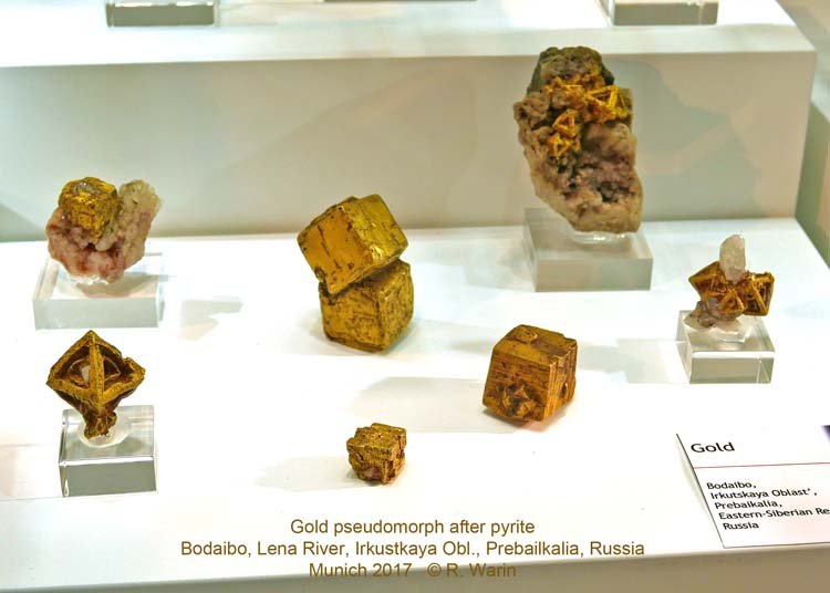 109-Gold-pseudo-00990_R.jpg