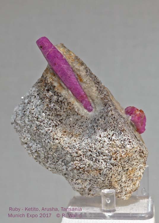 127-Ruby-10025_R.jpg