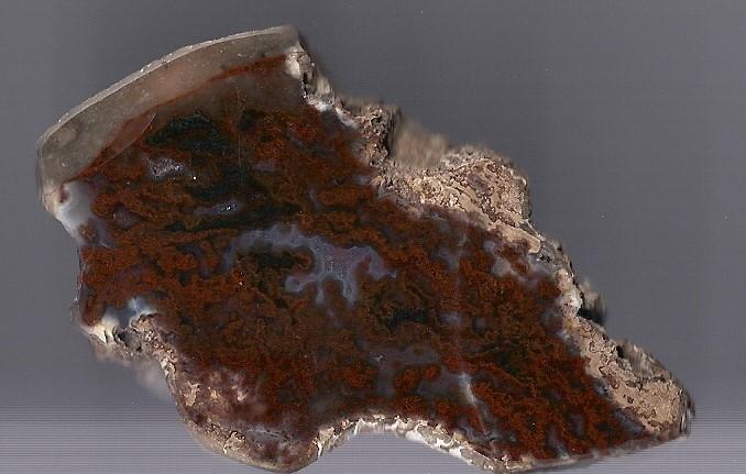 1313 Moss Agate, Scotland.jpg