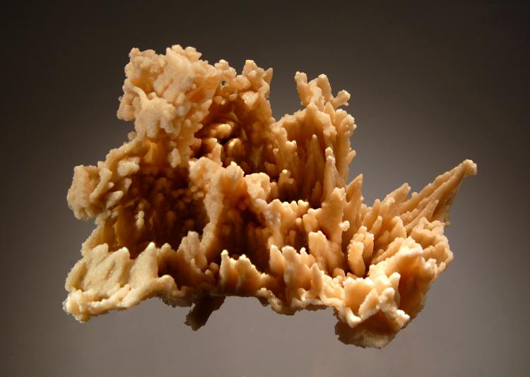 1674 Dolomite ps. calcite.jpg