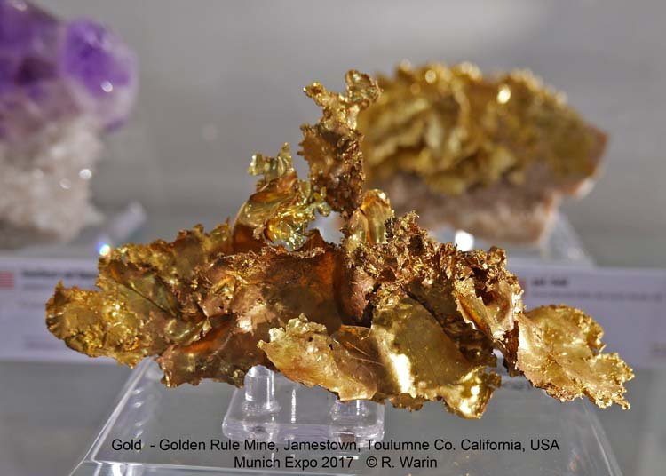 177-Gold-10144_R.jpg