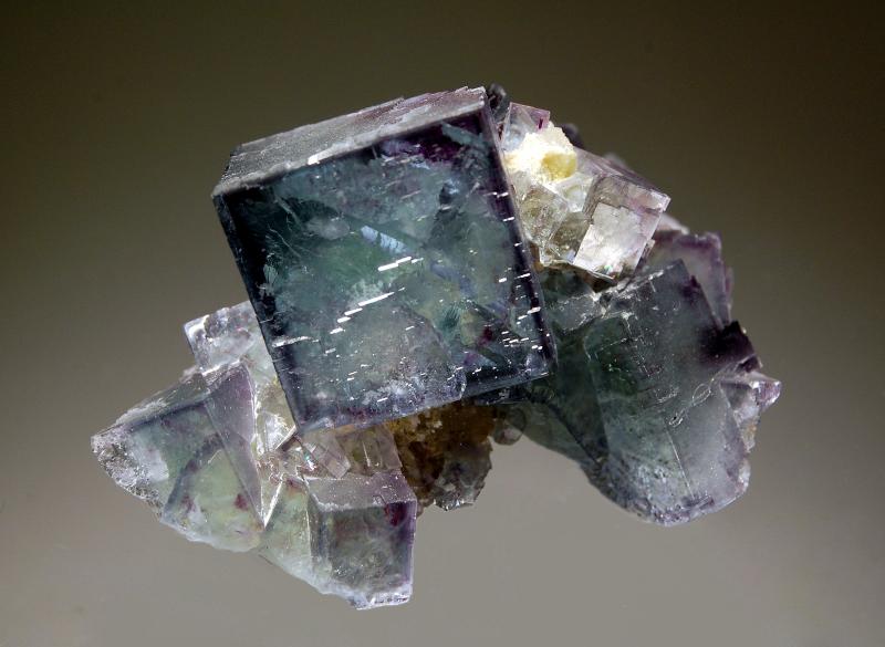 1879 Fluorite.jpg