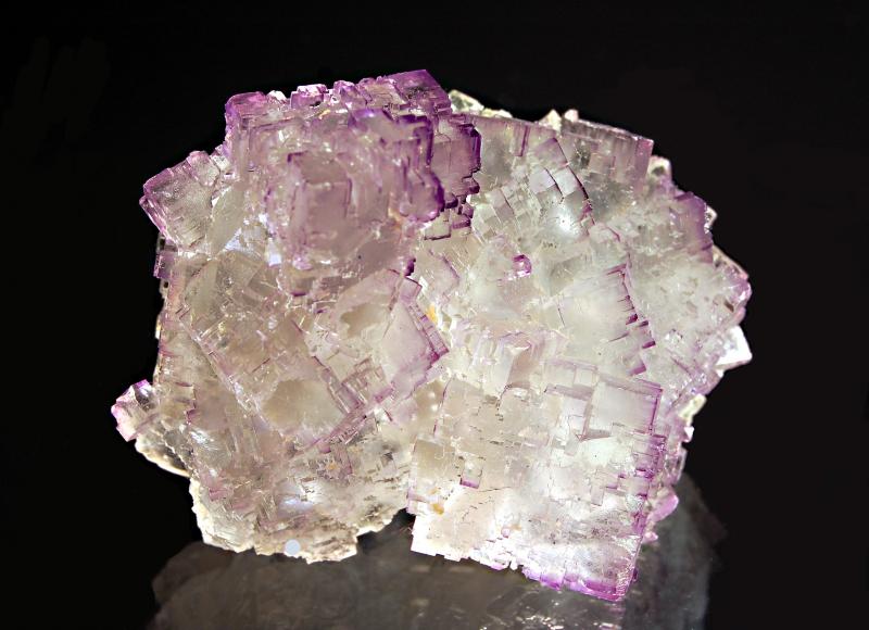 1884 Fluorite.jpg