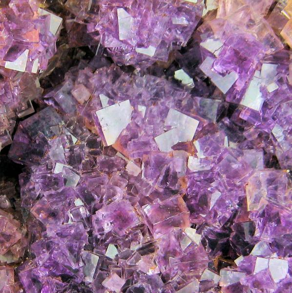 3159M-fluorite-a.jpg