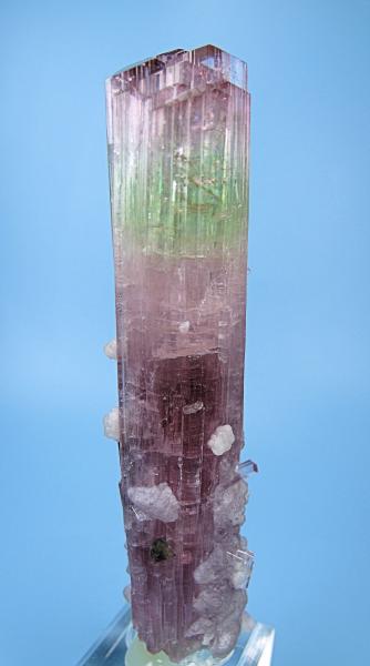 8213M-elbaite2.jpg