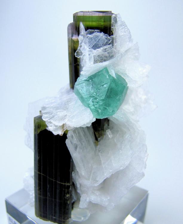 8218M-elbaite1.jpg