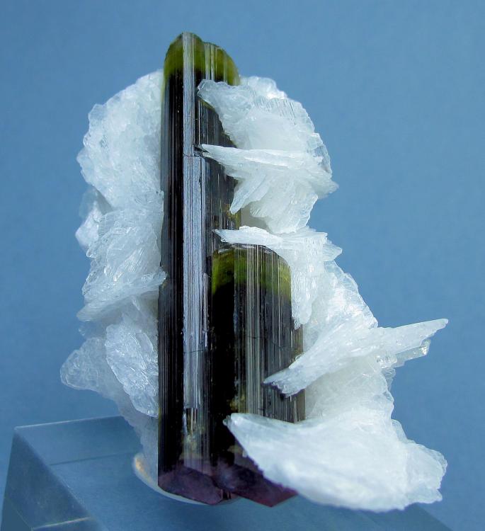 8220M-elbaite3.jpg