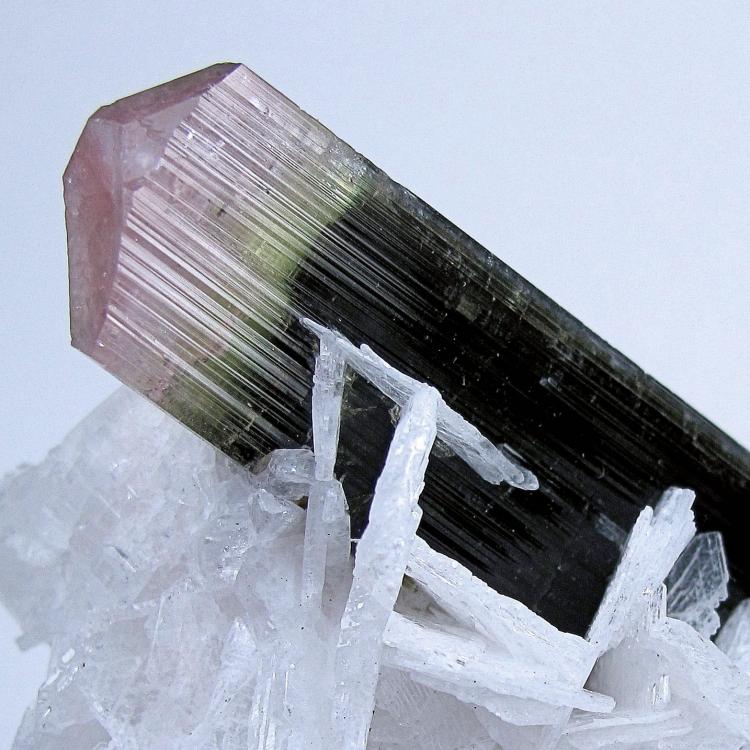 8221MC-elbaite3.jpg