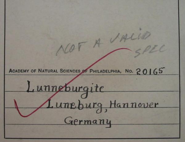ANSP-Etikett (Lüneburgit Lüneburg).jpg