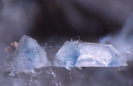 apatite in quartz - Brazil  - 6-2-45 dup Feather.jpg