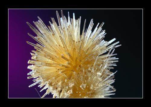 Aragonite Pantoja Toledo Spain.jpg