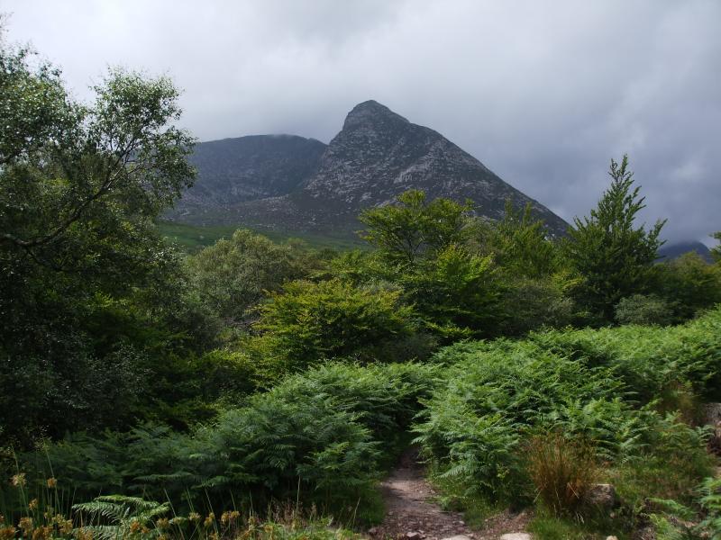 ARRAN---july august 2009 001.jpg