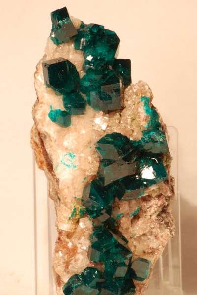 Bill Pinch Collection - Dioptase - Tsumeb_Namibia.jpg