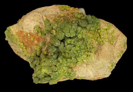 Bolivian Pyromorphite2a[1].JPG