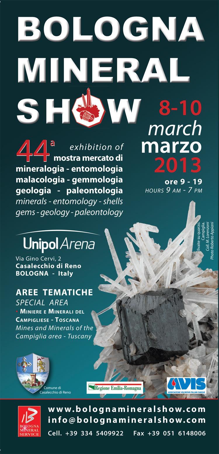 Bologna Mineral Show 2013.jpg