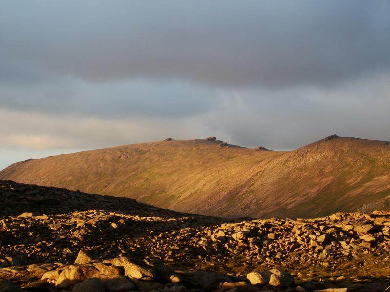 Cairngorms June-July 2006 019.jpg