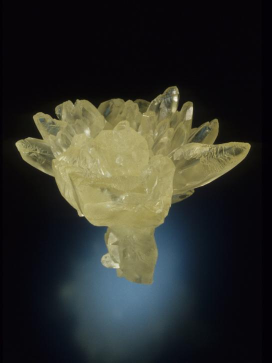 Calcite - Crystal River Quarry 2_Lecanto_Citrus County_Florida_USA.jpg