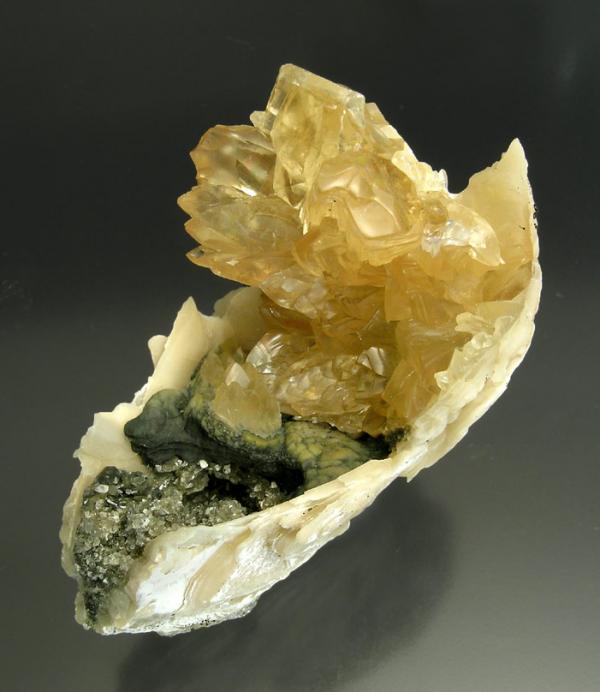 Calcite replacing Mercenaria sp - Florida USA.jpg