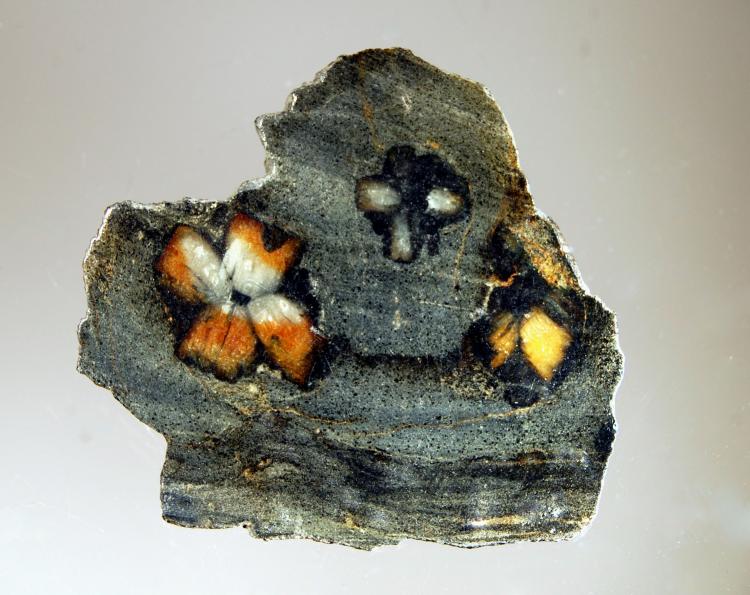 Chiastolite thin slice.jpg