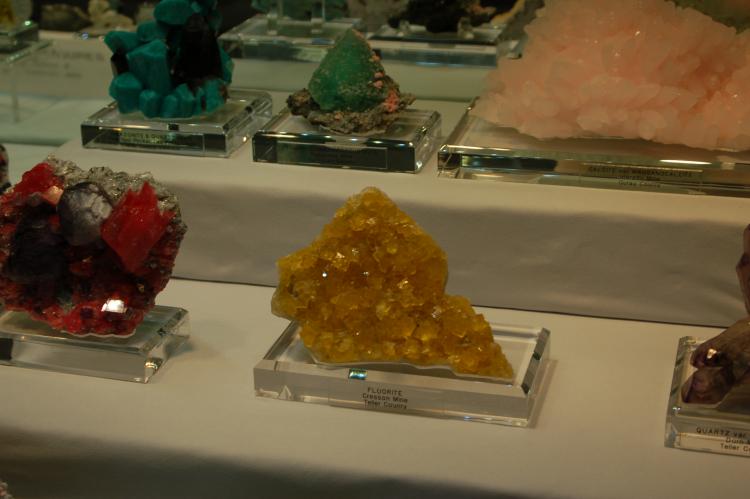 Colo case fluorite.JPG