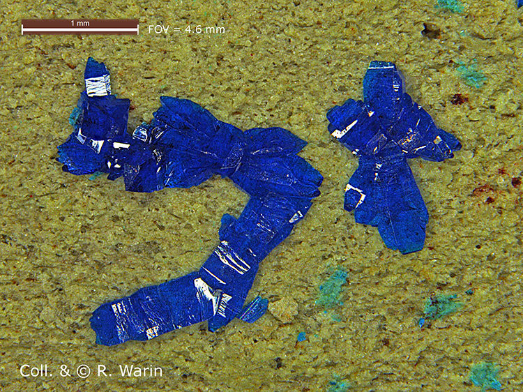 Cornetite#2-05-b_R.jpg