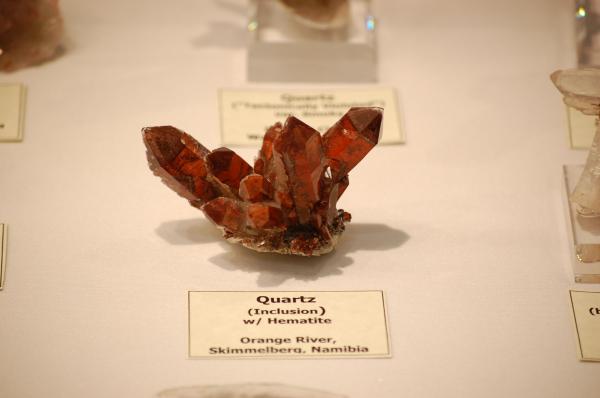 DSC_0174.JPG