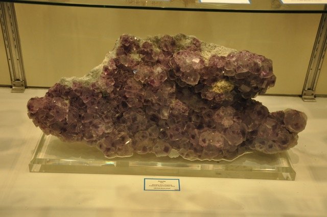 DSC_0601.jpg
