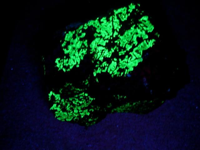 green fluorescent 003.JPG