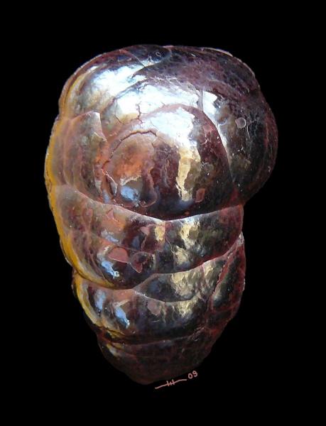 hematite 3cm.JPG