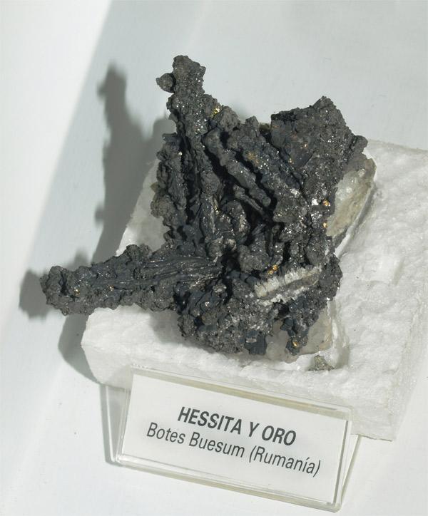 Hessite Gold Folch Romania.jpg