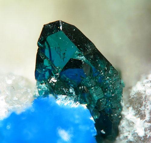 Lammerite Chile.jpg