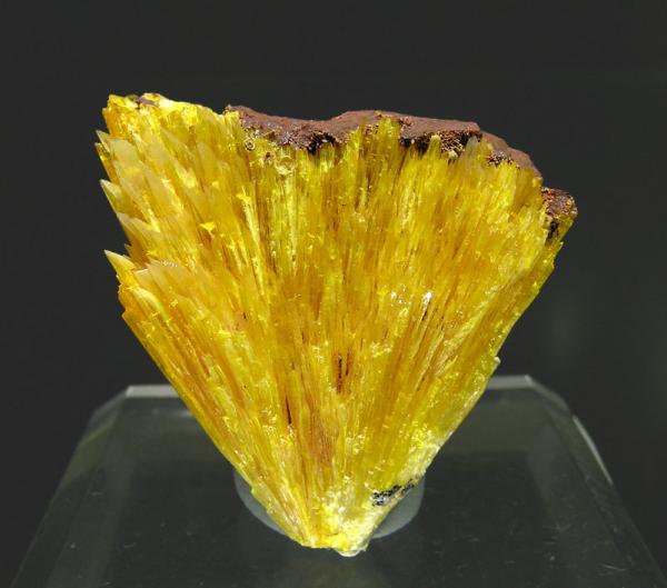 Legrandite fan Ojuela Mine Mexico.jpg