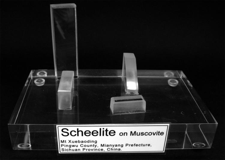 LF_SCHEELITE PLATE_STAND_LABEL.JPG