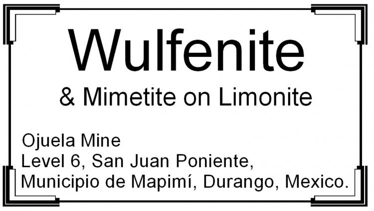 LF_WULFENITE_OMX_LABEL.jpg