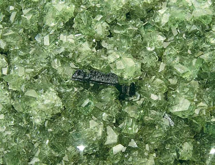 Ludlamite - Black Bird_Middle Fork_Lemhi Co._Idaho_USA.jpg