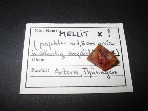 Mellitkristall (Artern).jpg