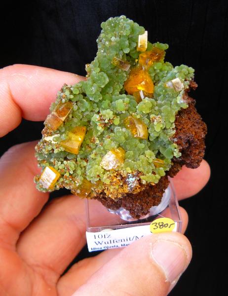 MIMTITE & WULFENITE II - Ojuela - Mineralparagon SMAM09.jpg