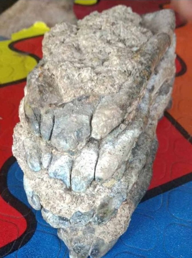 mineral or some fossile or what is it.jpg