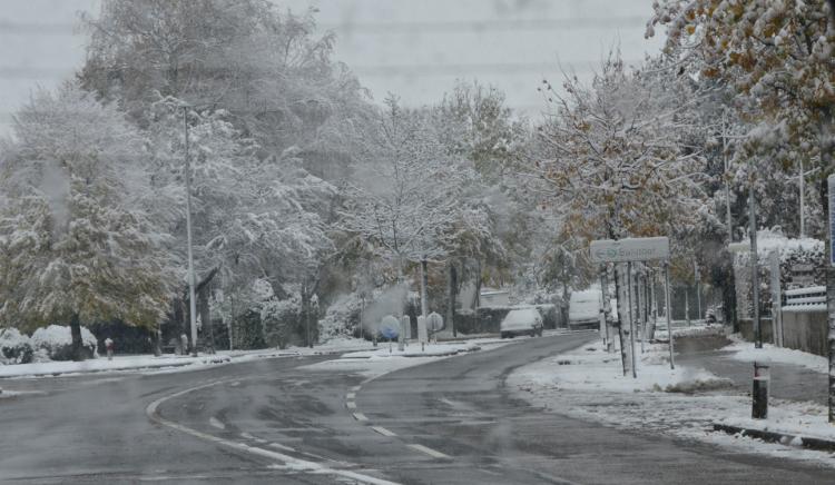 Munich 2012 - Snowing 1.jpg