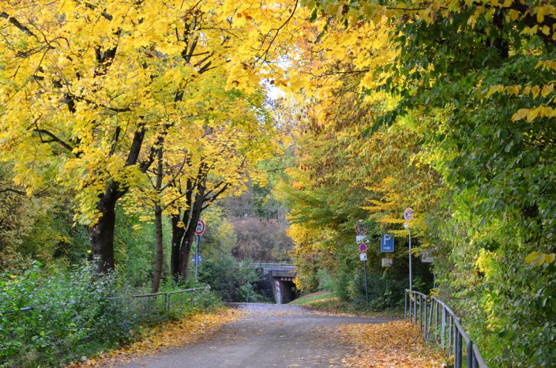 Munich Show 2013 - Neighborhood around the Messegelande 3.jpg