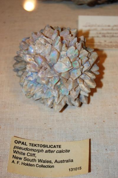 opal.JPG